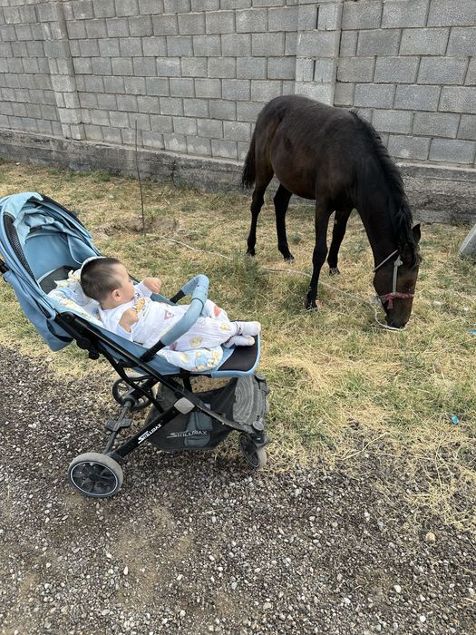 Детский столик, ходунок , коляска