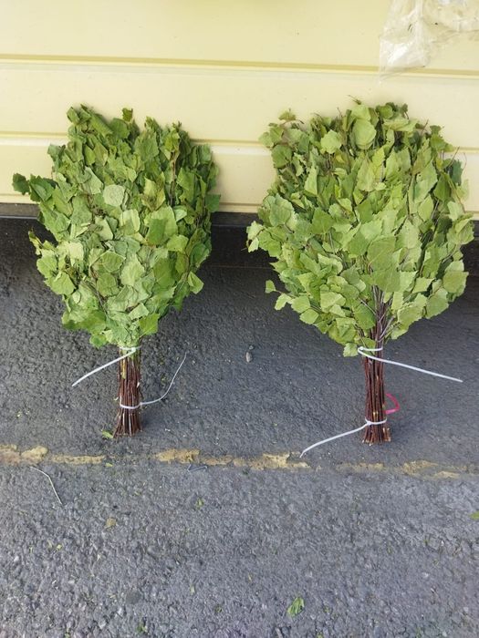 Веники банные, от 1500тг