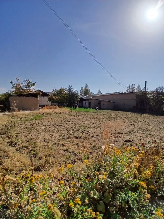 Ер ва Уй сотилади енги Тошкентни ёнида