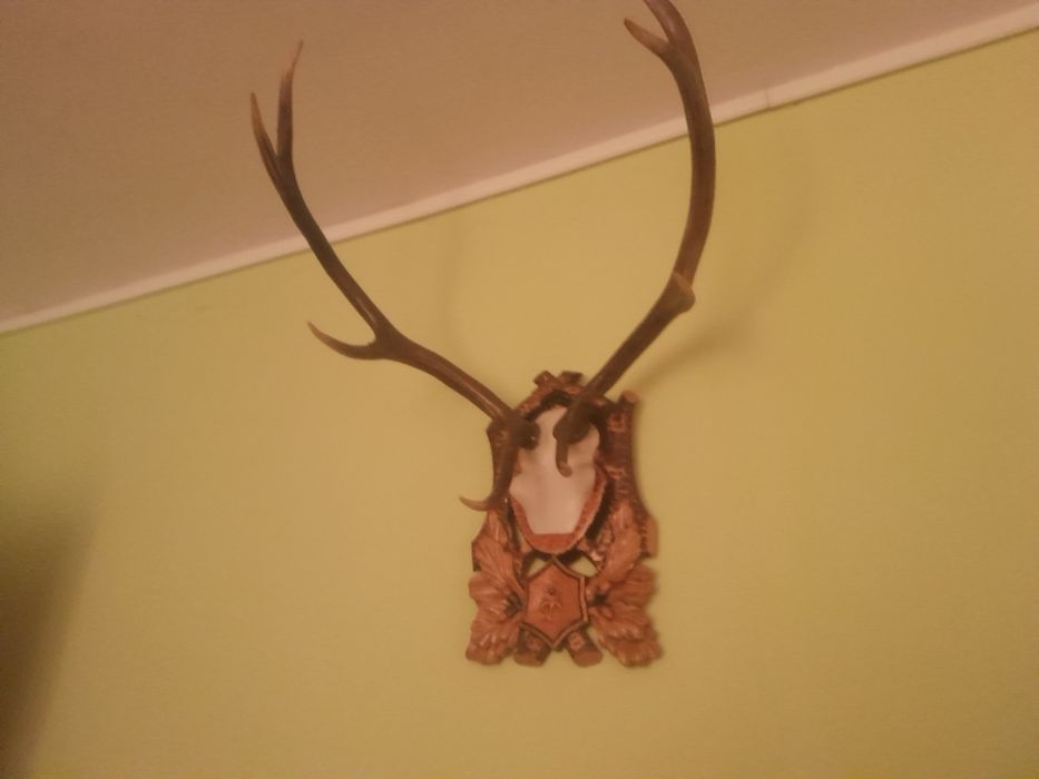 Vănd coarne de cerb