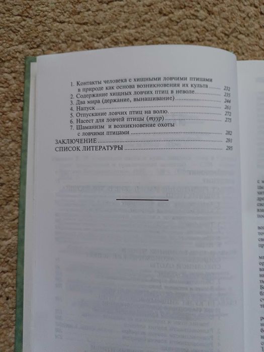 Соколиная охота Беркутчи