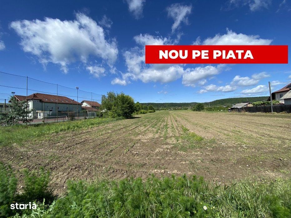 Teren intravilan 7.295 mp – Argeselu, Maracineni, AG