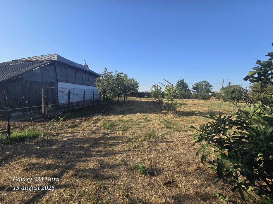 Casă de vânzare Gruiu