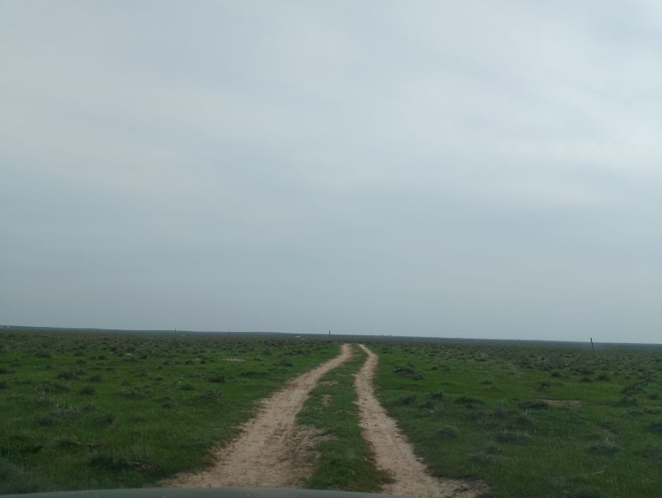 қора сатылады 280млн