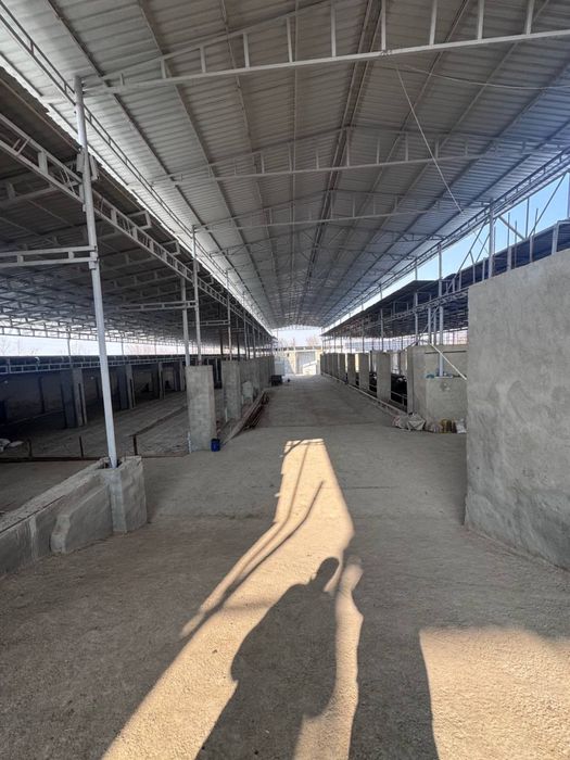 Мол Ферма арендага берилади ёки сотилади