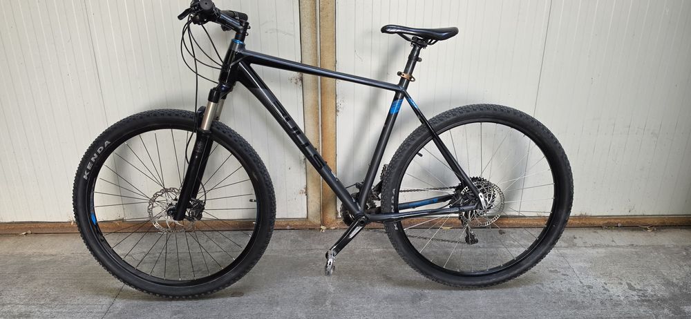 29" bulls compared 3