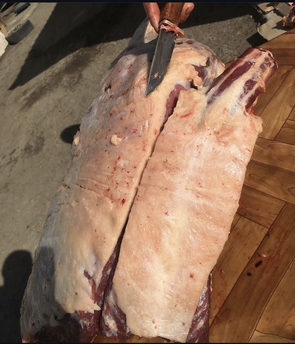 Семіз Құнан откорм ( Лошадь, Тай , Жылкы )