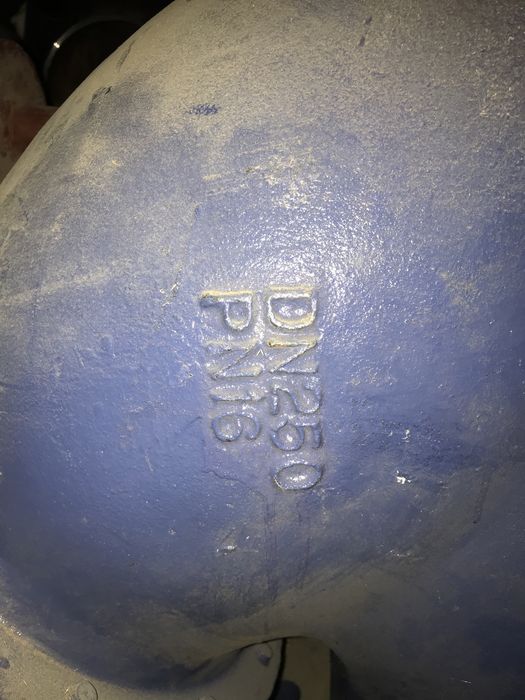 Фильтр Ду 250 чугунный сетчатый фланцевый