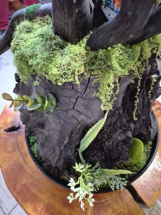 Бонсай ручная работа