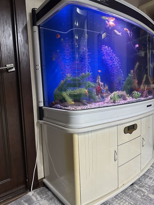 Xitoy Akvariyum 300litr