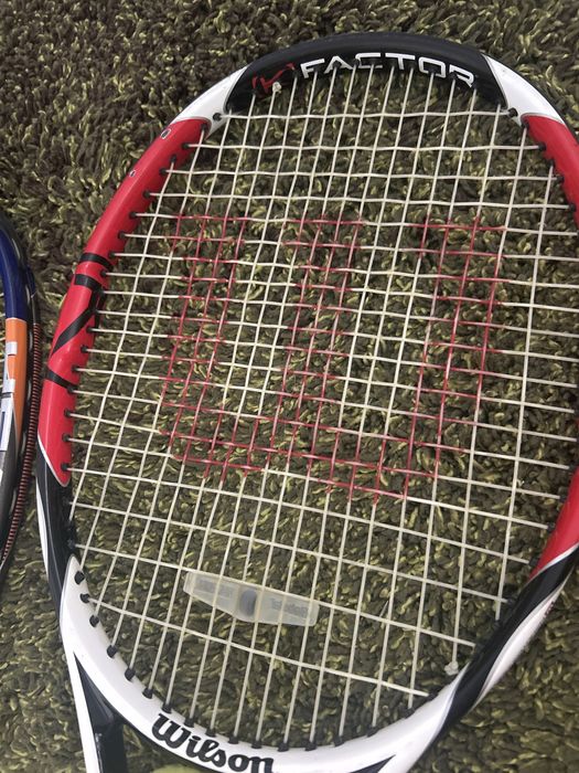 Palete de tenis se camp