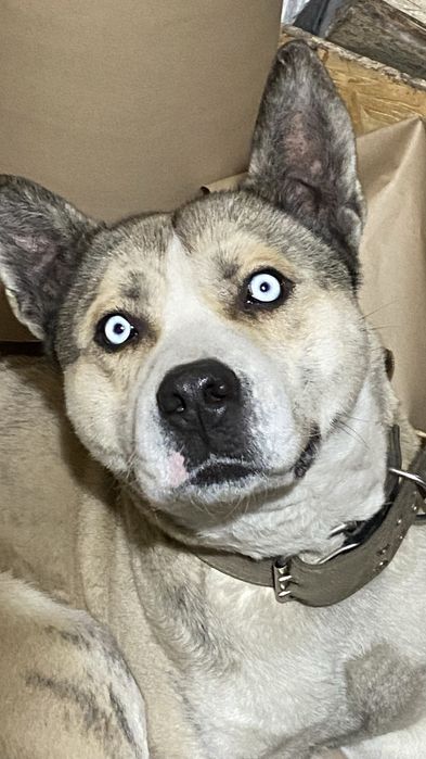 Ищем подружку срочно !