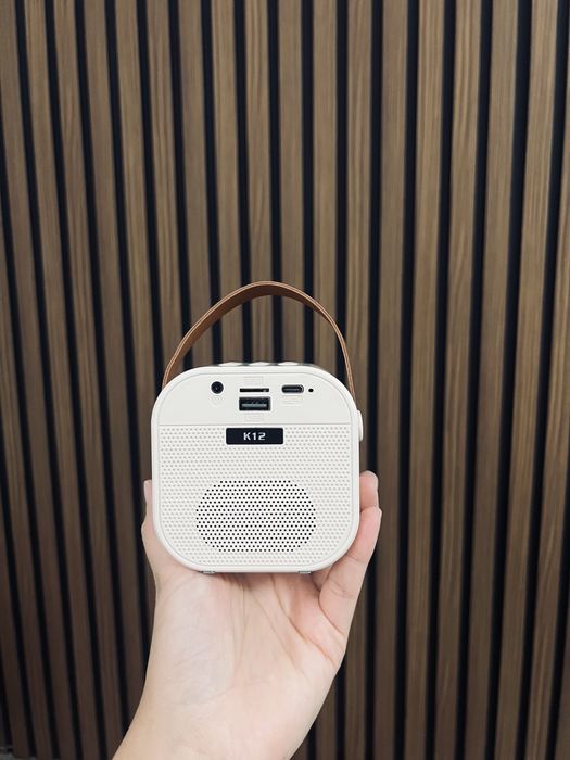 Мини колонка с микррфоном