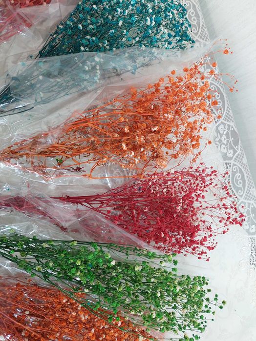 Сухоцветы гипсофила