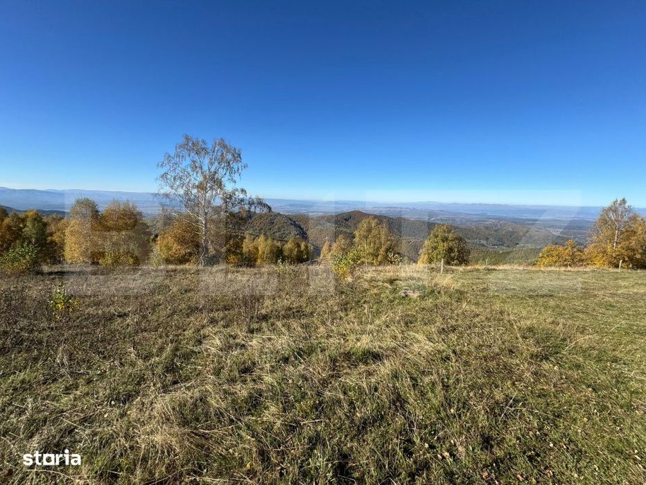 Teren extravilan 6.360 mp in Tarsa