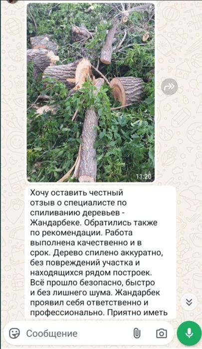 Спил деревьев . Обрезка