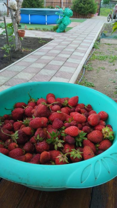 Дача ,дачное общество "Ракета»