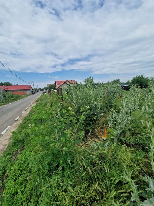 Teren de vânzare - 967 mp, Islaz, Ilfov - Ideal pentru locuință - Vedere 5