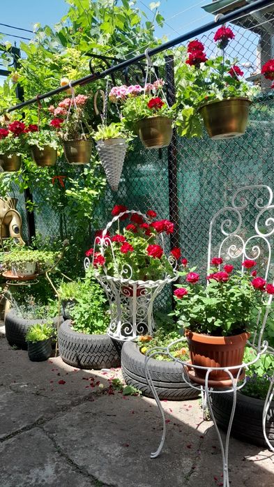 Цветарници от ковано желязо