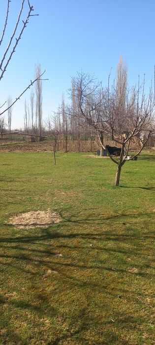 Срочна уй сотилади