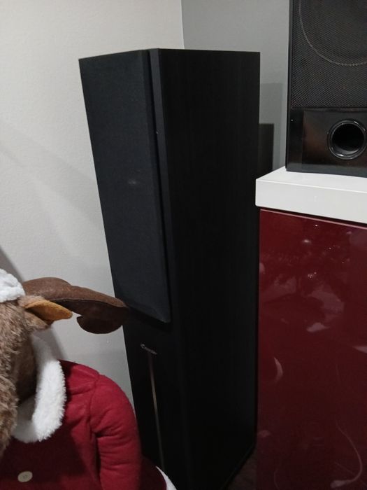 Тонколони тъндър и пайнер