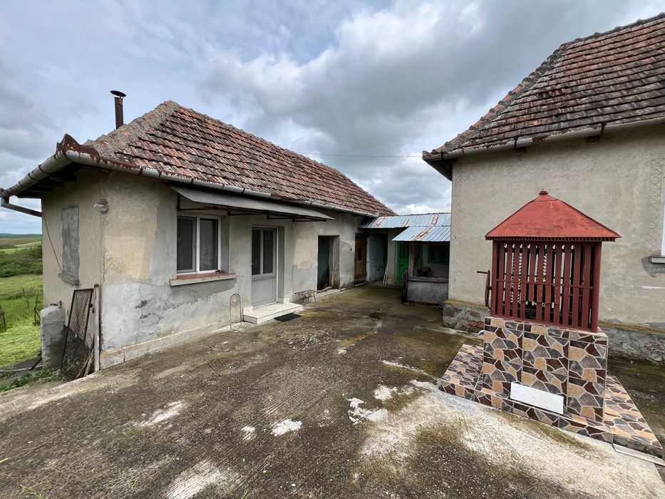 Vand casa in Tasad cu teren de 5793mp la asfalt, front stradal de 30m