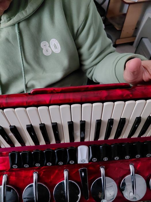 Vand Acordeon Parrot gama profesionala