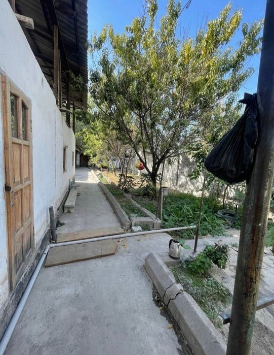 Квлук. Янг. И фуд сити. Бозор. Якин иек.  Ота.  Оилага