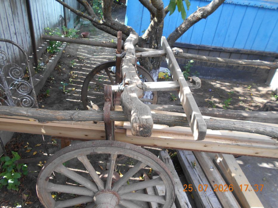 Car de gradina decorativ