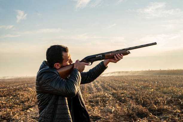 Pusca ULTRA PUTERNICA (Model Deosebit LUNETA) METAL Pistol Airsoft ARC