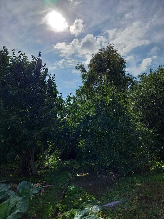 Продаётся дача, Федоровка