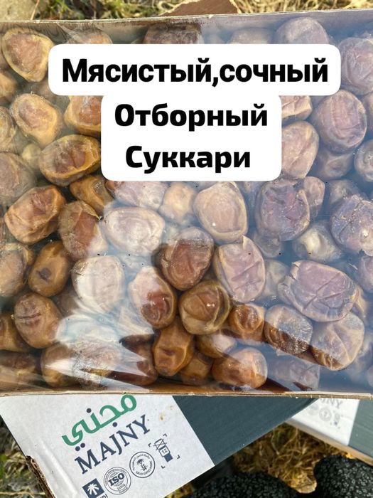 Продажа суккари курма