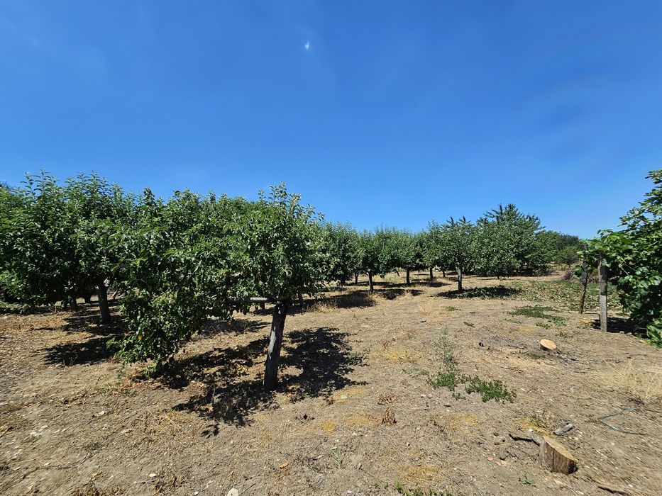 Продава се Къща в с. Мировци, Област Шумен - 90 кв.м за 522 €/кв.м - Снимка #14