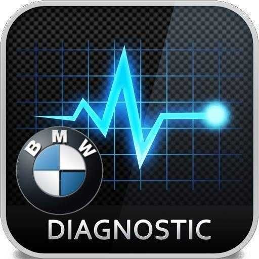 Diagnoza BMW - ISTA+ Caransebes si imprejurimi