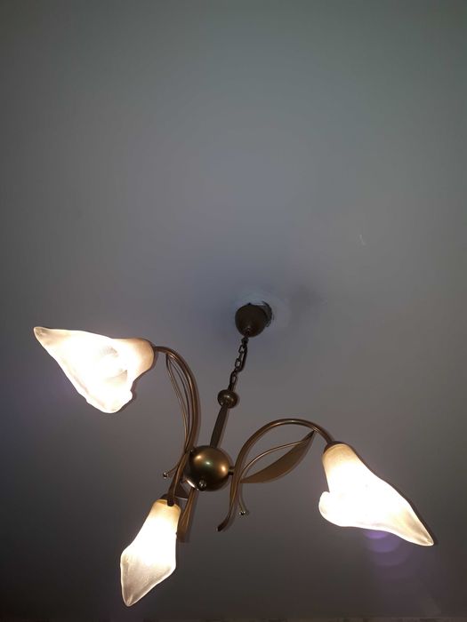 Люстра трехрожковая.