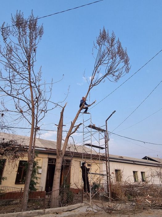 Мотопила хизмати...