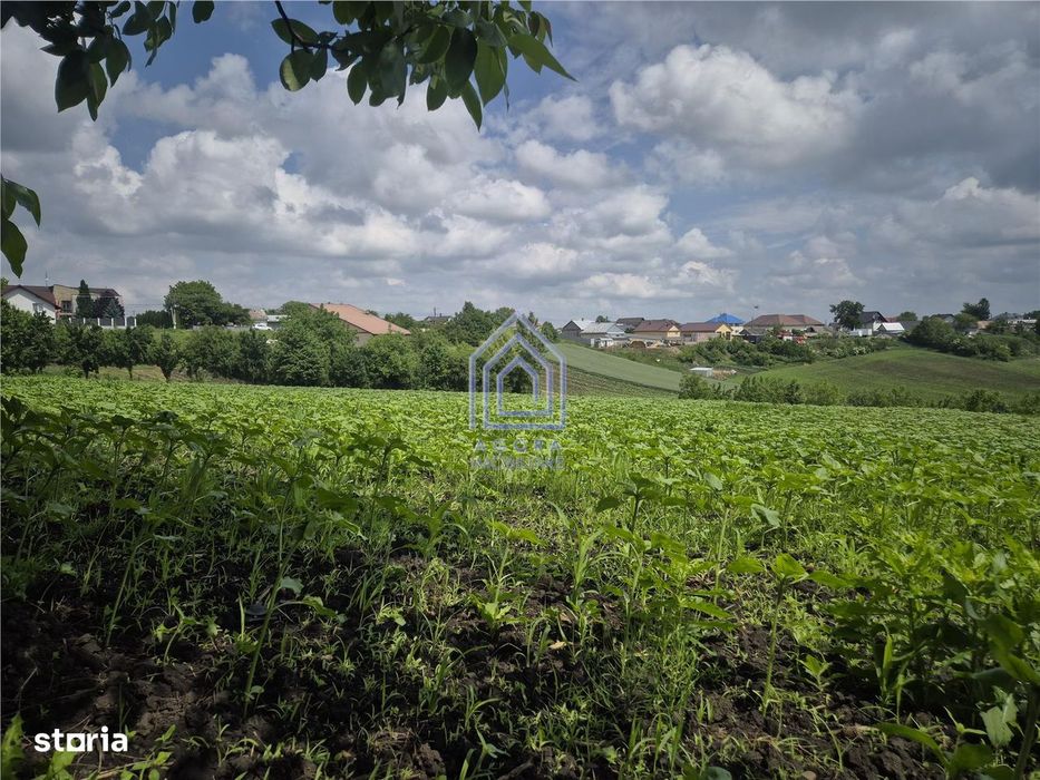 Teren intravilan Moara Nica - zona Scolii