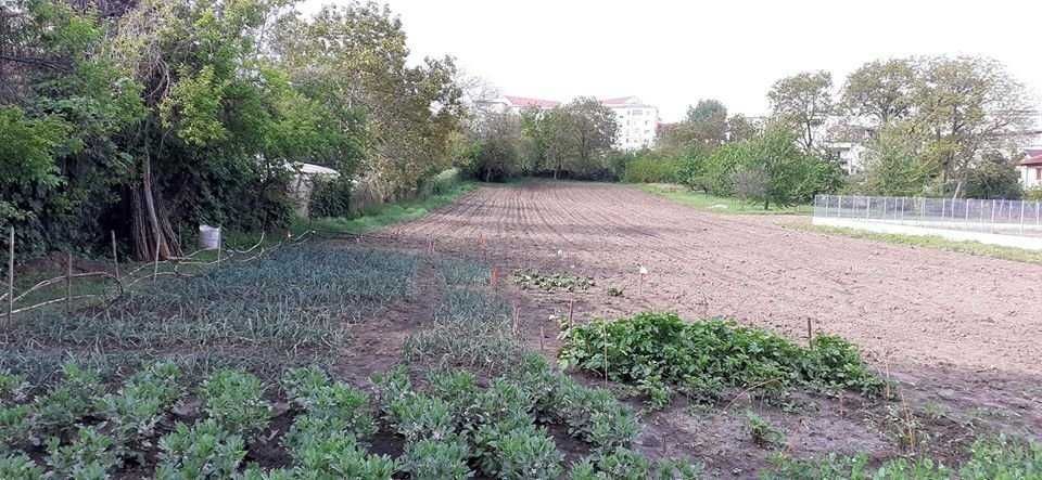 Teren intravilan centru Husi zona linistita, centrala, ideala ptr casa