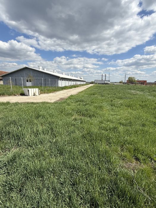 Ferma  zootehnica de porci Noua + Pezzaioli +utilaje; full dotata