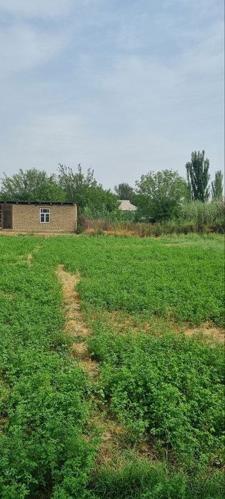 Участка сотилади октябрда