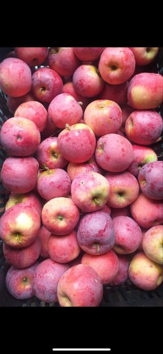 Vand branza si lapte vaca !