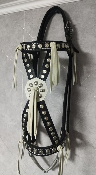 Жуген. Узда. Уздечка