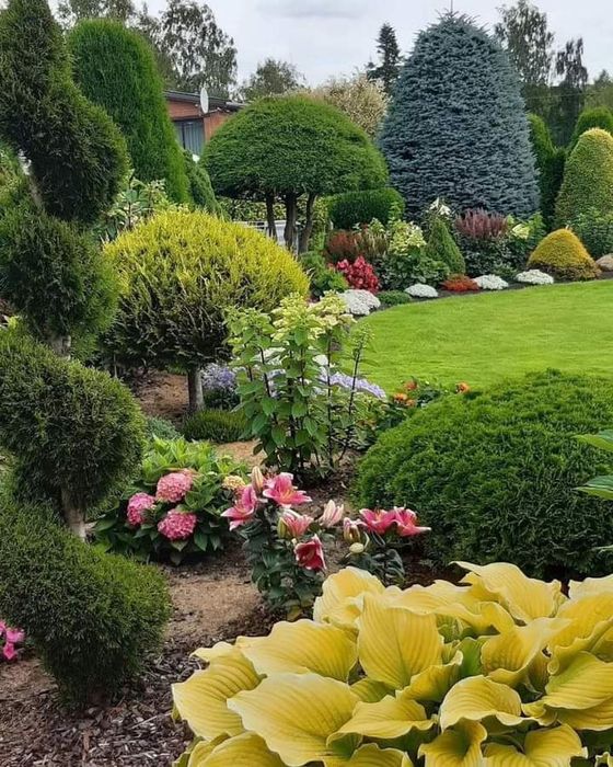 Опрыскивание, обрезка деревьев