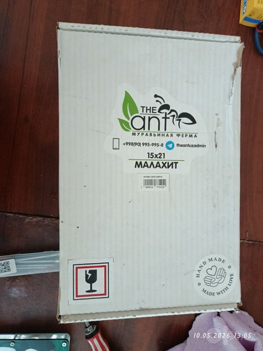 Продаю муравьиную ферму на запчясти все есть