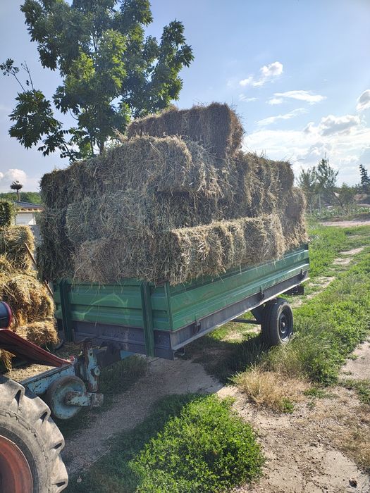 Baloți de lucernă