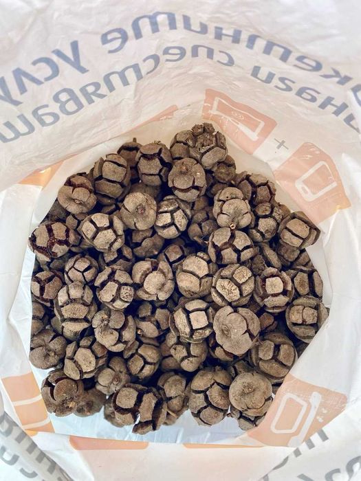 Топчета от кипарис за декорации