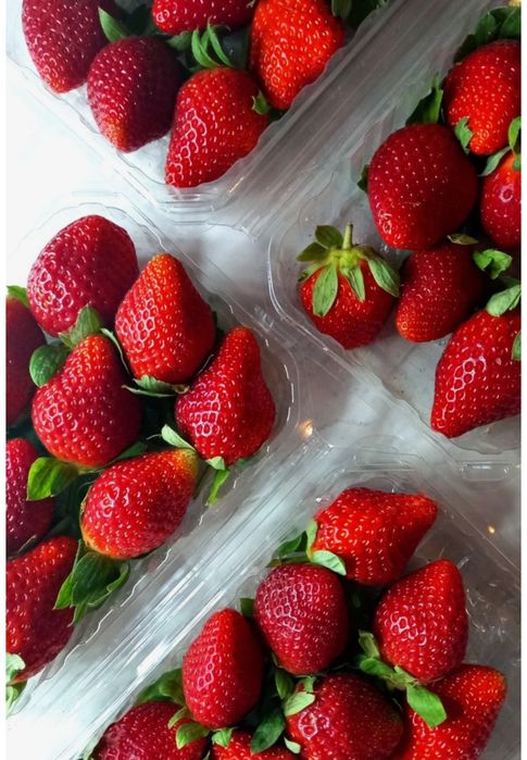 Клубника Египет свежая