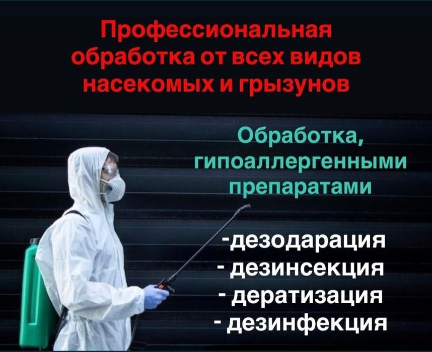 Уничтожение клопов, тараканов, крыс. Дезинфекция грызунов, мышей,крыс