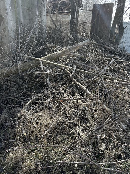 Дрова бесплатно