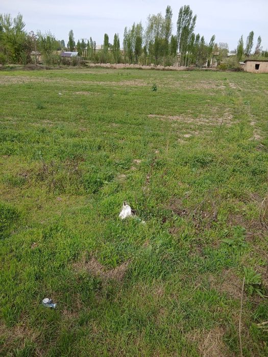 Йер сотилади халкобод